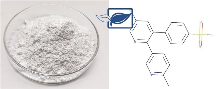 etoricoxib tablets