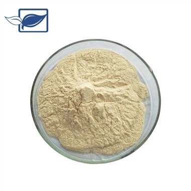 Ekstrak Ginseng Serbuk Ginsenoside