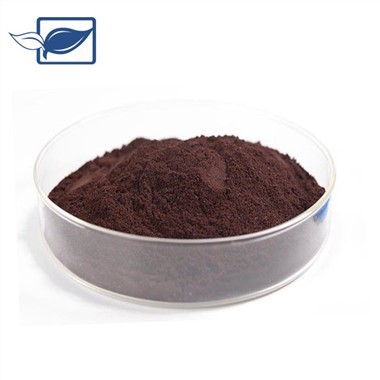 Serbuk Procyanidins
